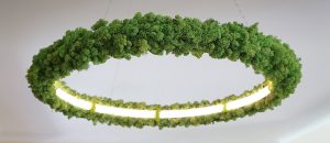 Oleant Lighting