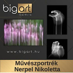 bigart Galéria - Művészportrék: Nerpel Nikoletta