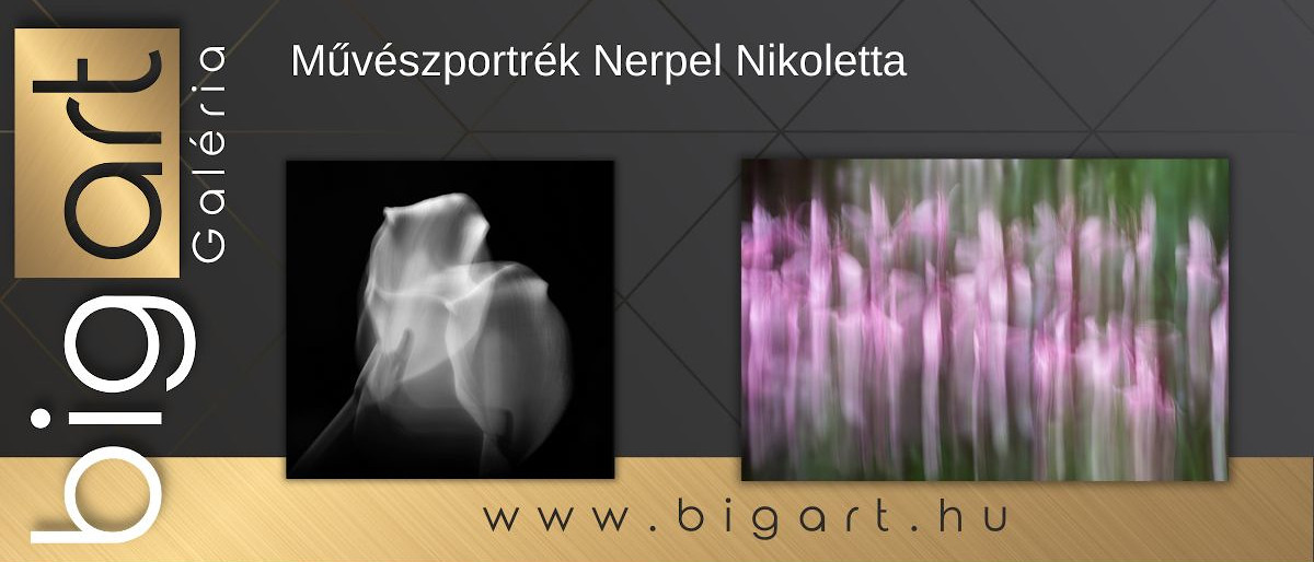 bigart Galéria - Művészportrék: Nerpel Nikoletta