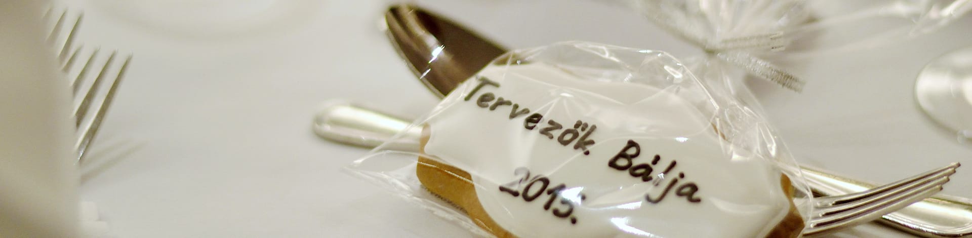 I. Tervezők Bálja - 2015