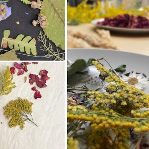 Őszi lomblabor - Viaplant lámpakészítő workshop
