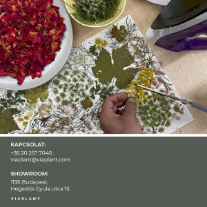 Őszi lomblabor - Viaplant lámpakészítő workshop