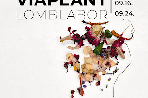 Őszi lomblabor - Viaplant lámpakészítő workshop