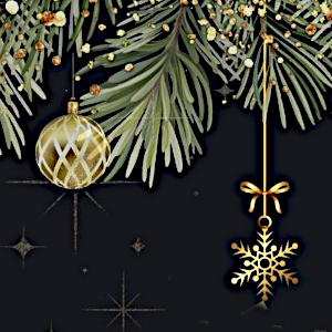 LOSZ Karácsonyi Parti - 2025