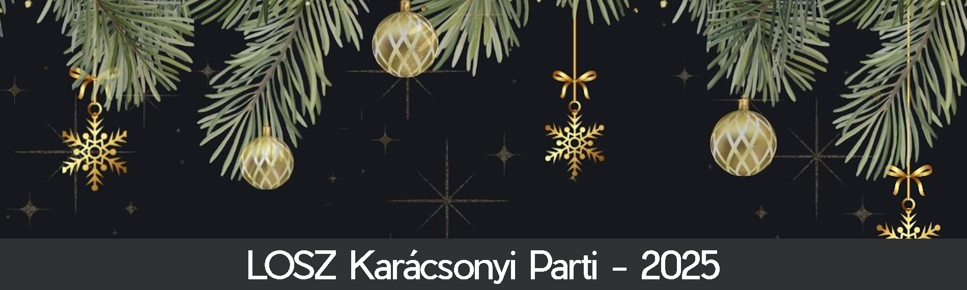 LOSZ Karácsonyi Parti - 2025