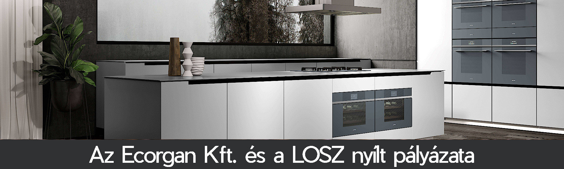 Pályázati kiírás az Ecorgan Kft. bemutatótermének kialakítására