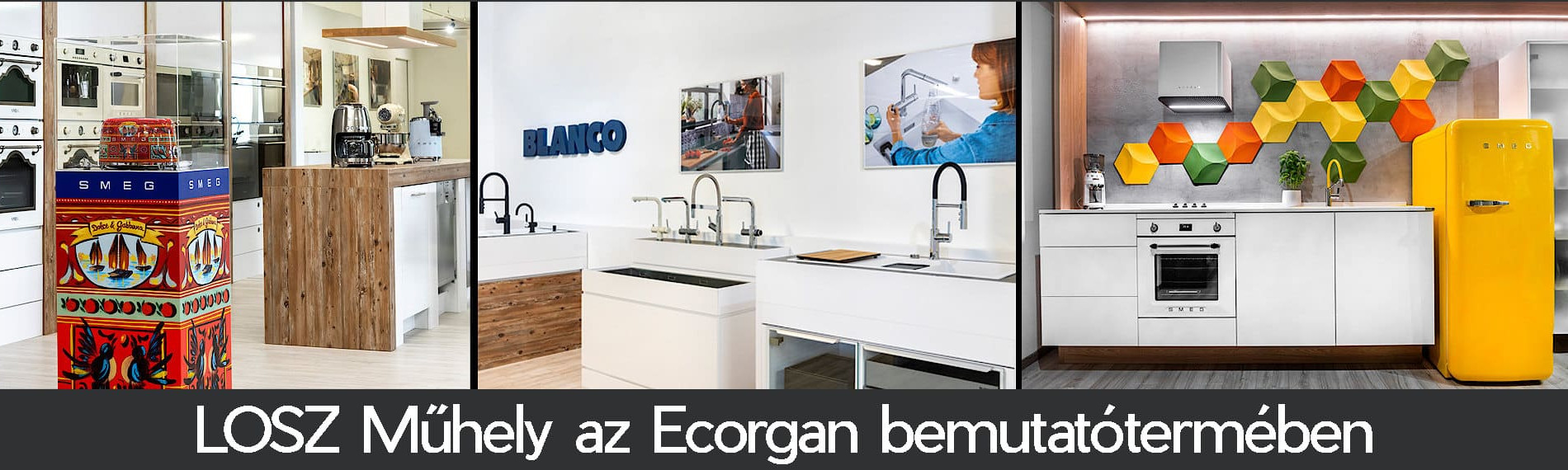 LOSZ Műhely az Ecorgan bemutatótermében