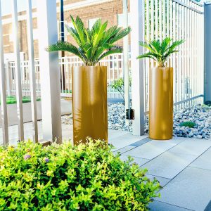 Maison Planter showroom tervezés - pályázat