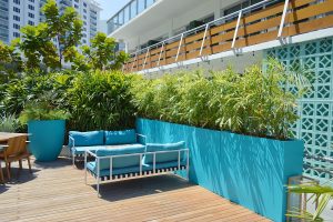 Maison Planter showroom tervezés - pályázat