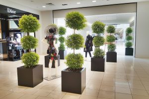 Maison Planter showroom tervezés - pályázat