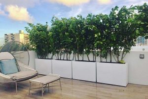 Maison Planter showroom tervezés - pályázat