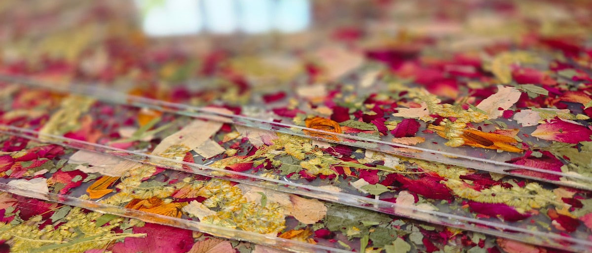 Természet üvegbe zárva: a Viaplant® GLASS mint kortárs belsőépítészeti megoldás