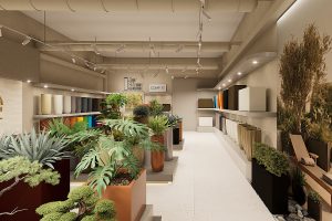 Késmárki Linda – A "Maison Planter showroom tervezés" pályázat nyertese