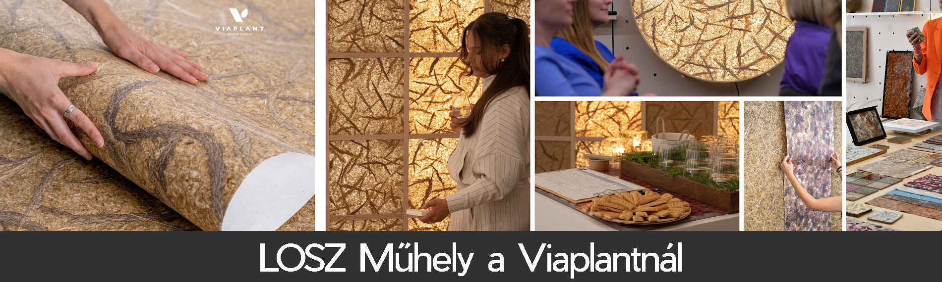 LOSZ Műhely a Viaplantnál