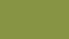 Pantone 18-0538 Woodbine - Pantone 18-0538 Woodbine