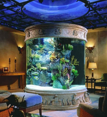 Akvárium - Korallszirt a nappaliban